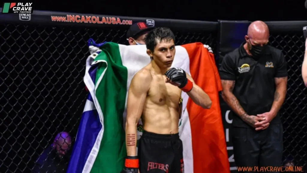 An MMA fighter in the octagon ready for the fight